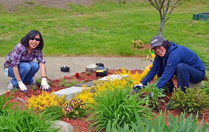 "Green Up, Clean Up" Day