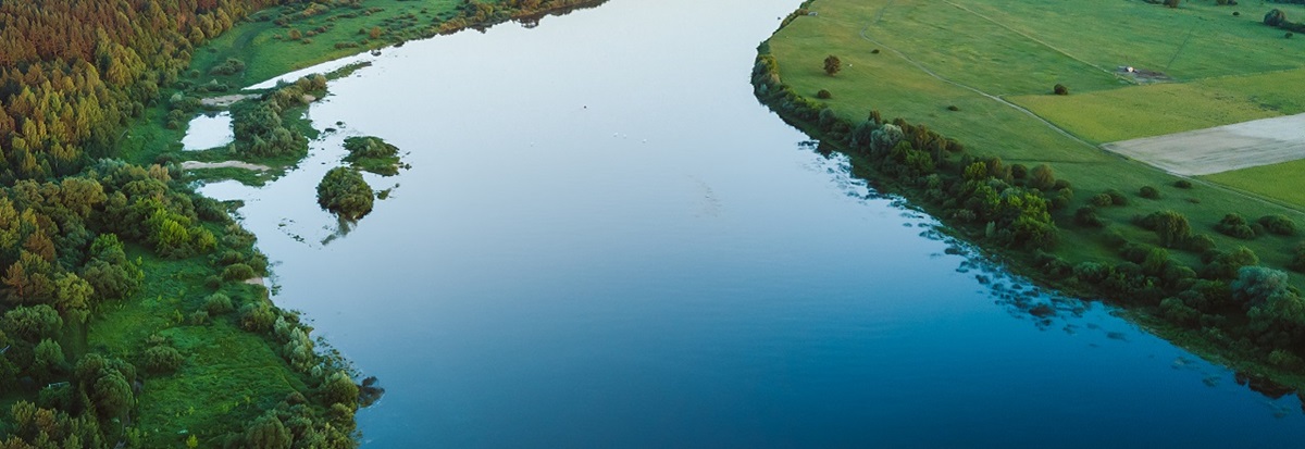 Environment